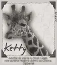ketty