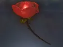 rose1