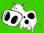 cow