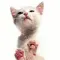 cute cat 