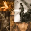 fairies