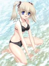 bikini