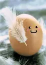 egg