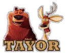 Tayor