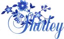 Shirley