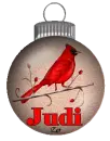Judi