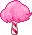 cotton candy'