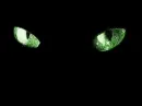 Cat Eyes
