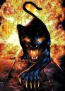 Firey Black Panther