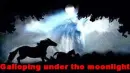 :~:Horse:~:
