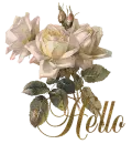 Hello