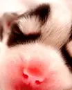 cute