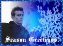 Season Greetings