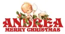 Merry Christmas Angel