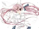 Kawaii Bunny