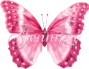 Name 