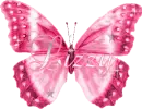 Name