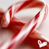 candy cane