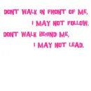 Don't walk behind me 