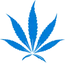 pot leaf