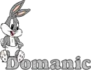 Domanic