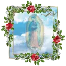 virgen de guadalupe