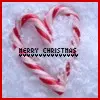 christmas avatar