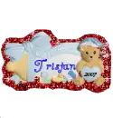 Tristans 1st Christmas Bear