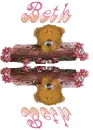beth bear reflection
