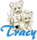 Tracy