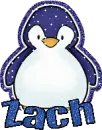 Zach Penguin
