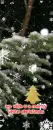 A Merry White Christmas