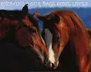 SHOWING YOUR PAGE SOME LOVE