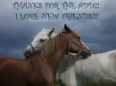 thanks for the add