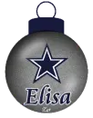 Elisa