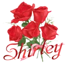 shirley