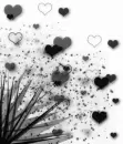 brushes