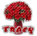 Tracy