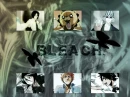 bleach