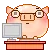 chat