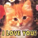 I luv u