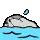 swim