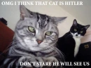 No eye contact
