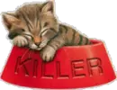 Killer