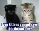 Kittens
