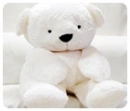 cute bear