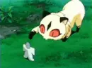 kirara