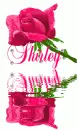 Shirley