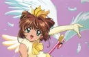 sk-s(sakura kinomoto-san)