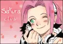 sakura